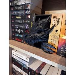 Dragon head booknook